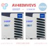 Dàn Nóng VRF Aqua 2 Chiều 48HP AV48IMVEVS