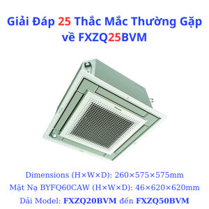 Giải Đáp 25 Thắc Mắc Thường Gặp về FXZQ25BVM